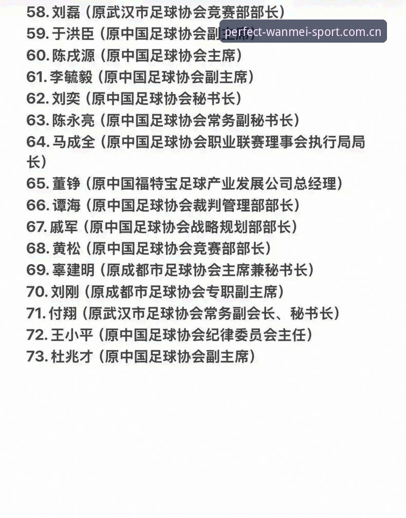 完美体育联系方式 中国足协第三批禁足名单详解:17人终身禁赛,48人受罚
