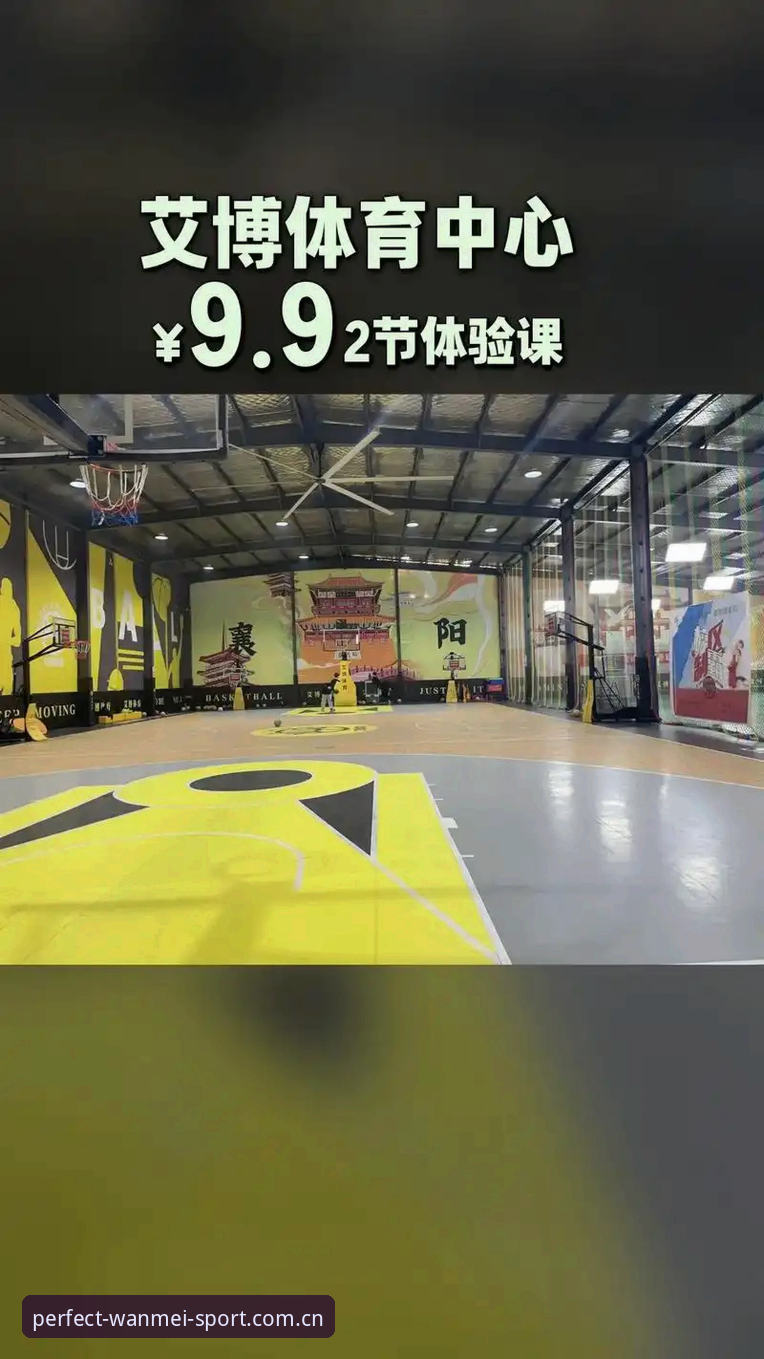 完美体育平台v2.3.0全面评测：下载安装流程与技术体验深度分析